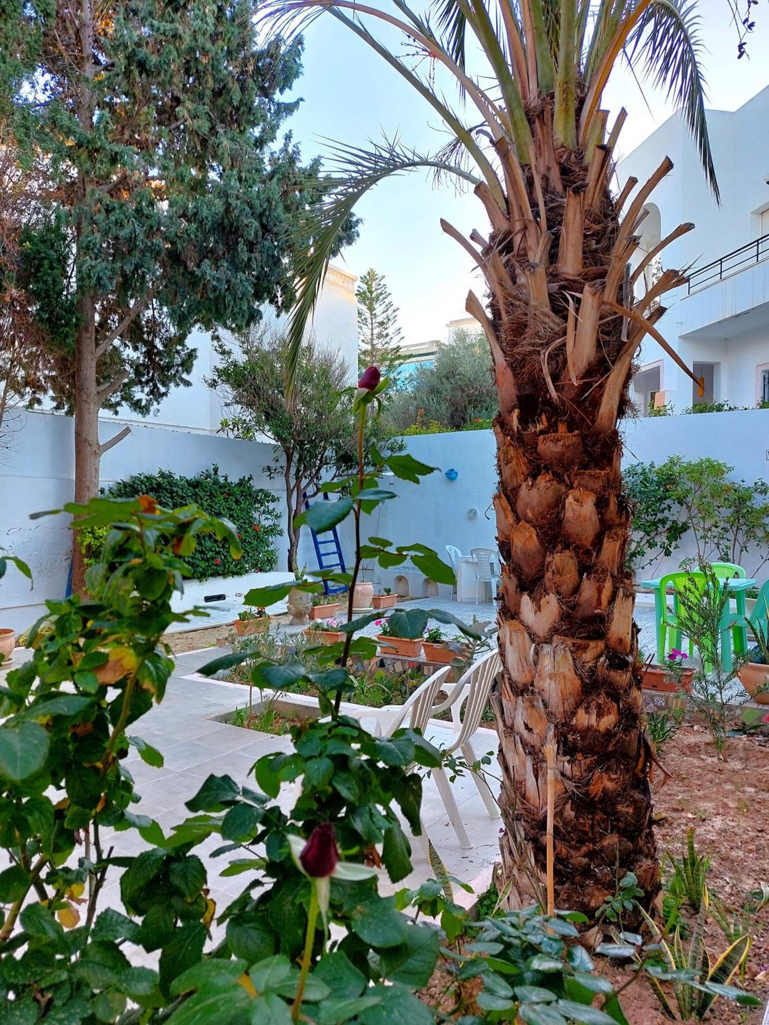 Villa Azaiiza سوسة المظهر الخارجي الصورة