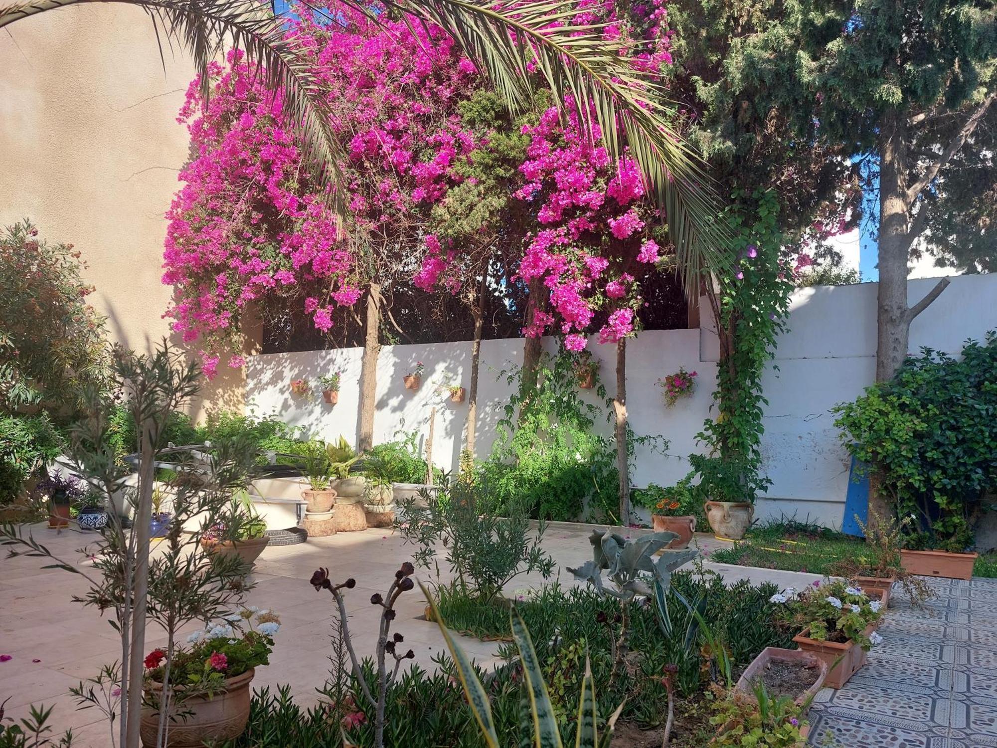 Villa Azaiiza سوسة المظهر الخارجي الصورة